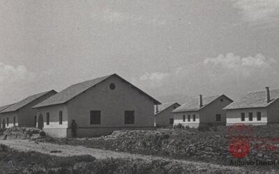 AS CASAS BARATAS DE FOZ.